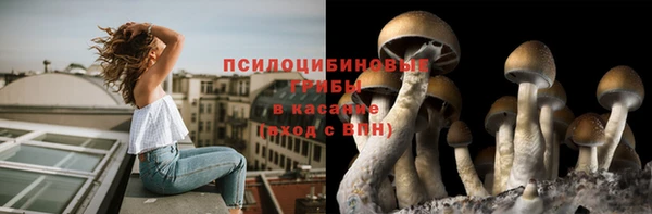 jwh Беломорск