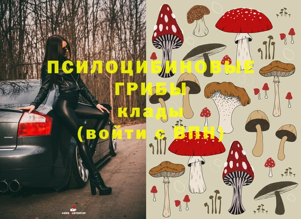 скорость Белокуриха